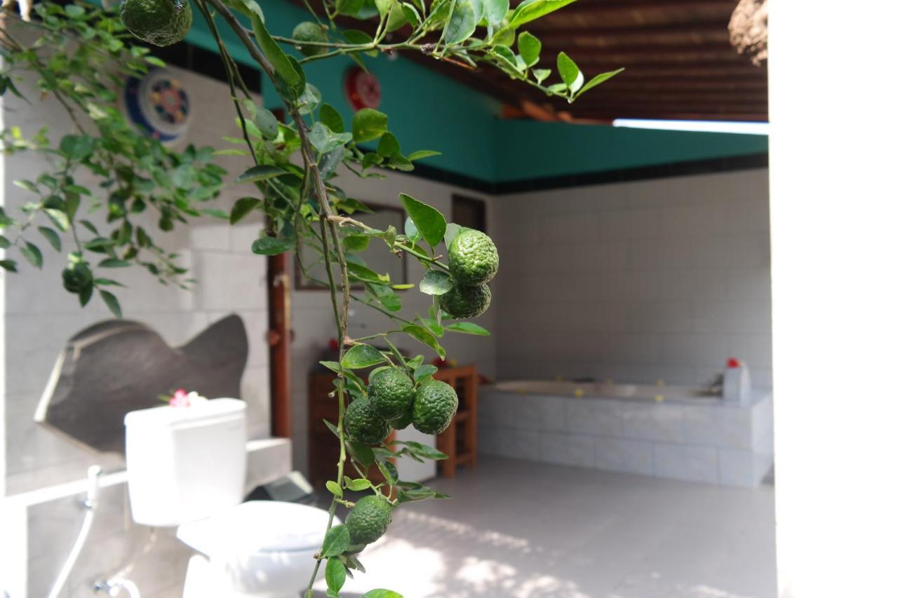 1000 Dream Bungalow Lovina Exterior foto