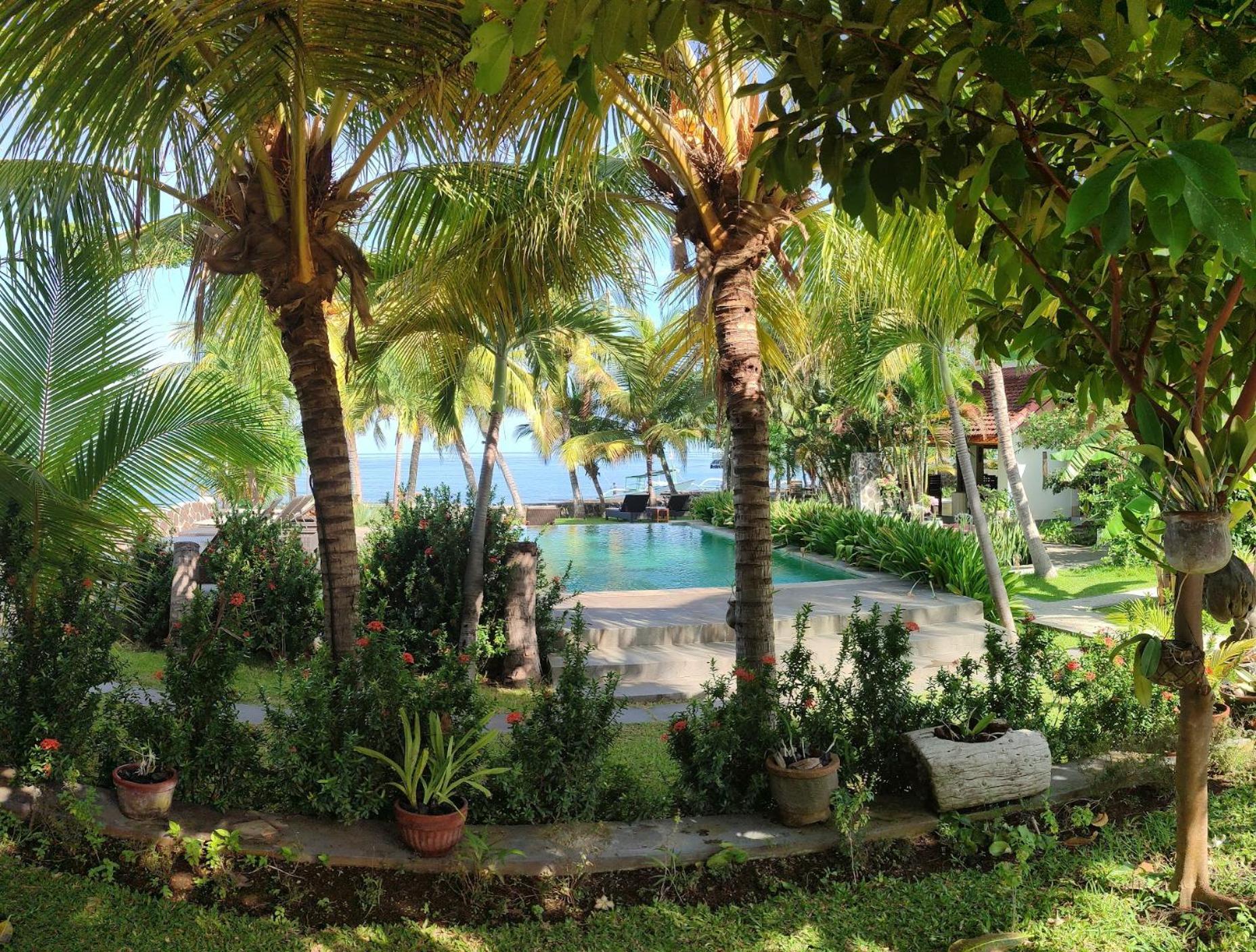 1000 Dream Bungalow Lovina Exterior foto